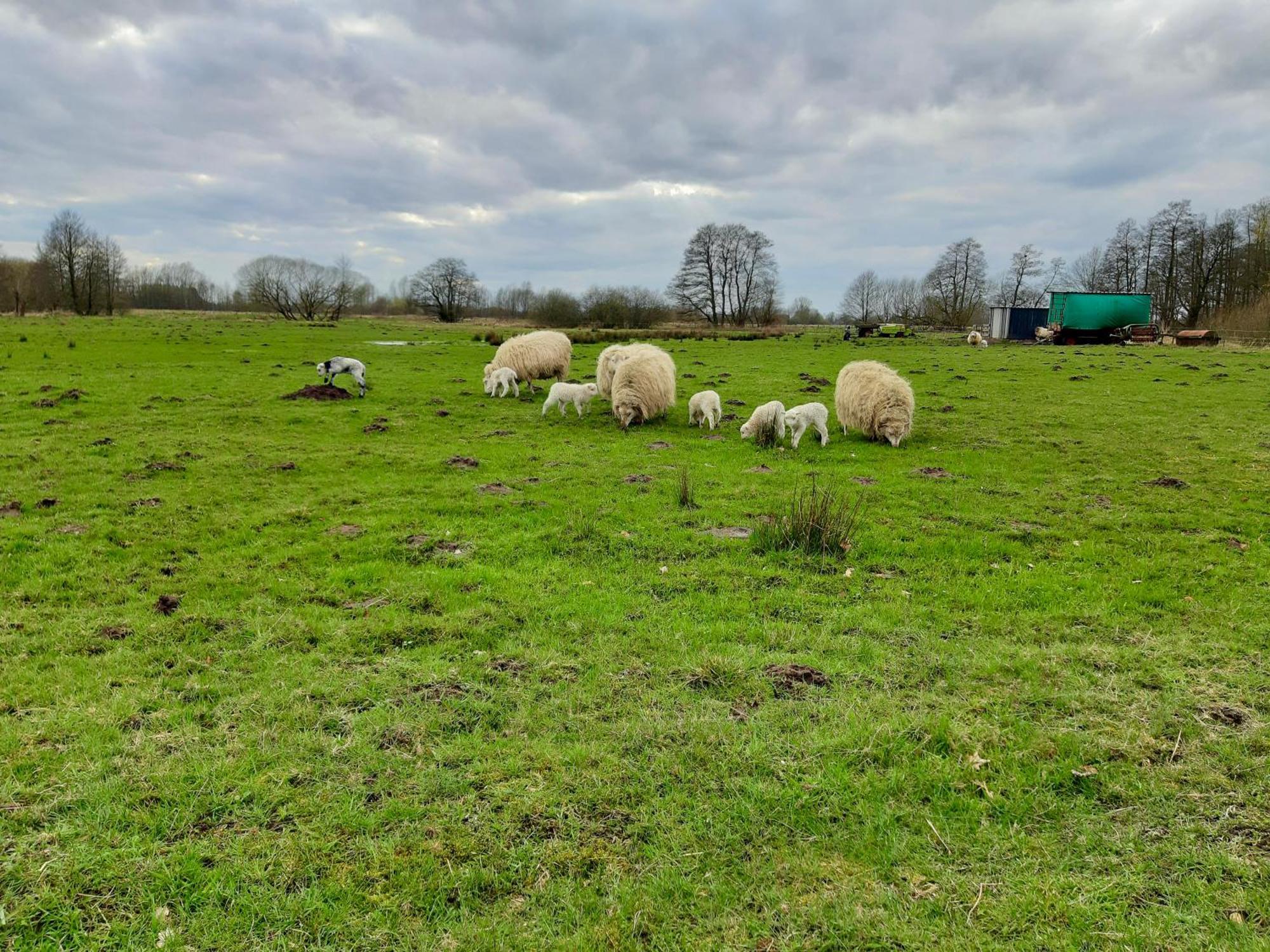 Bassener Monteurwohnung Oyten Esterno foto